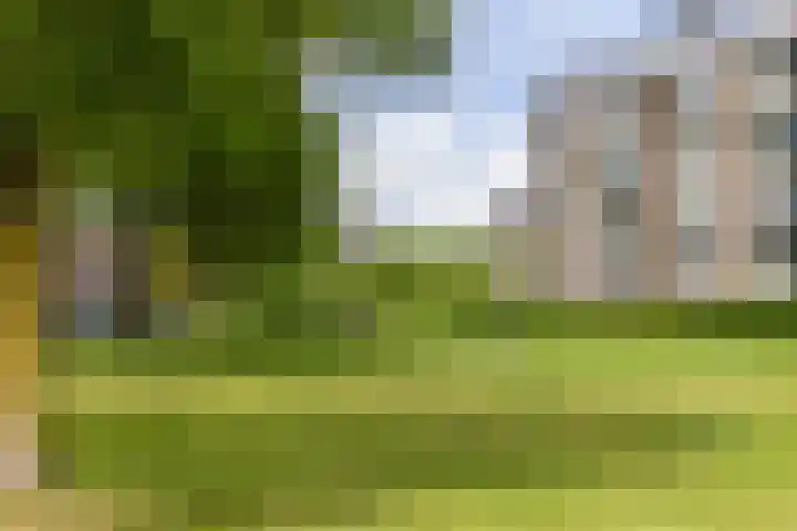 Jan van Goyenstraat 3 a Groningen thumbnail 14