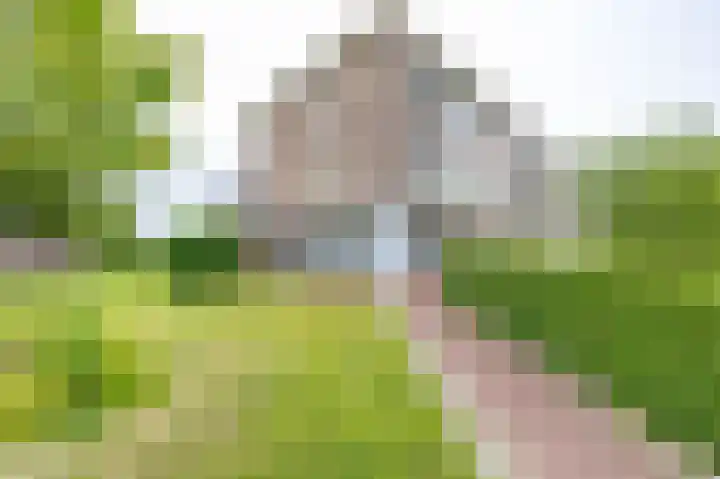 Jan van Goyenstraat 3 a Groningen thumbnail 15