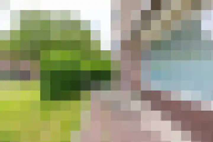 Jan van Goyenstraat 3 a Groningen thumbnail 16