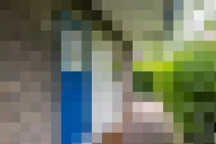 Jan van Goyenstraat 3 a Groningen thumbnail 17