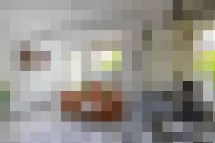 Jan van Goyenstraat 3 a Groningen thumbnail 6