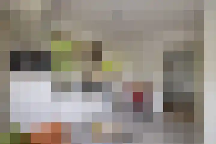 Jan van Goyenstraat 3 a Groningen thumbnail 7