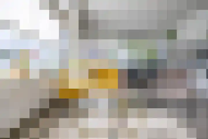 Jan van Goyenstraat 3 Groningen thumbnail 11