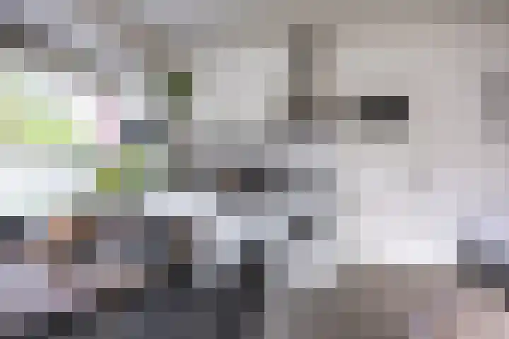 Jan van Goyenstraat 3 Groningen thumbnail 20