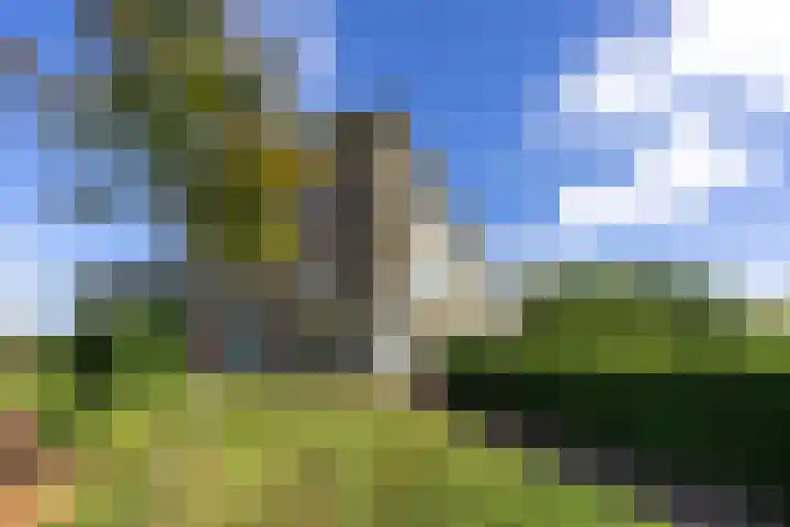 Jan van Goyenstraat 3 Groningen thumbnail 26