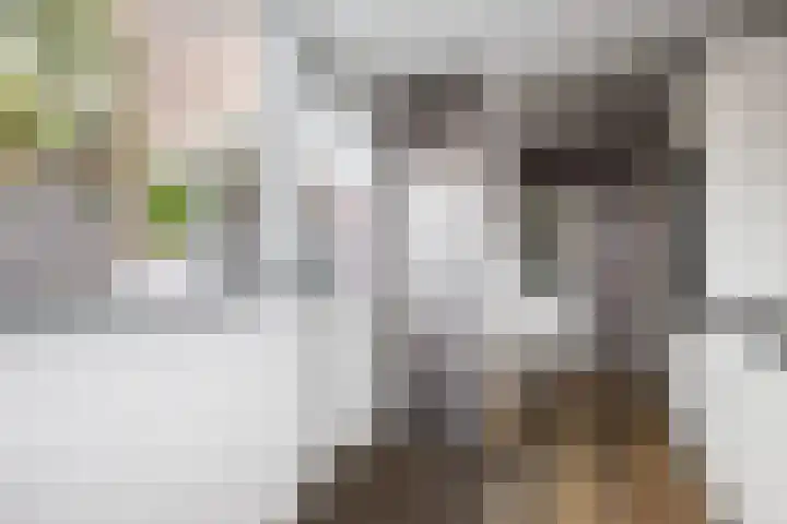 Jan van Goyenstraat 3 Krimpen aan de Lek thumbnail 16