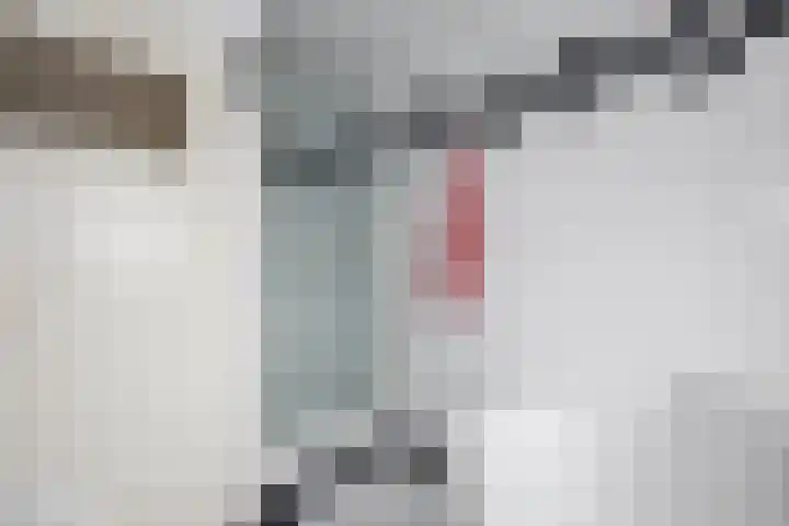 Jan van Goyenstraat 3 Krimpen aan de Lek thumbnail 21