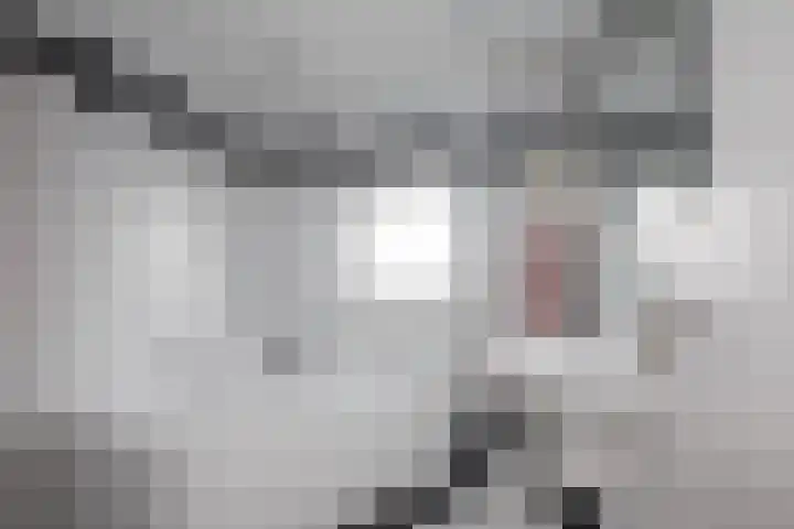 Jan van Goyenstraat 3 Krimpen aan de Lek thumbnail 22