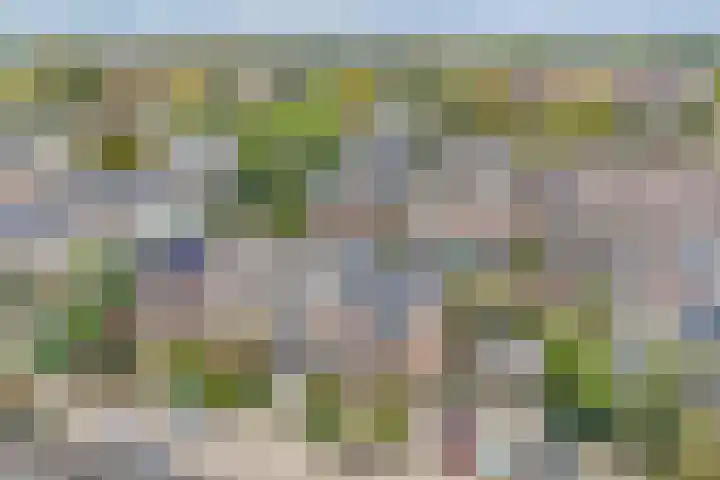 Jan van Goyenstraat 3 Krimpen aan de Lek thumbnail 27