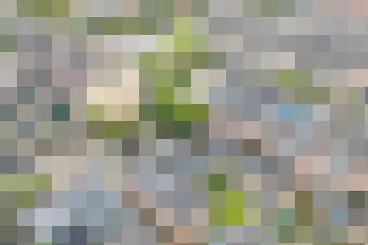 Jan van Goyenstraat 3 Krimpen aan de Lek thumbnail 28