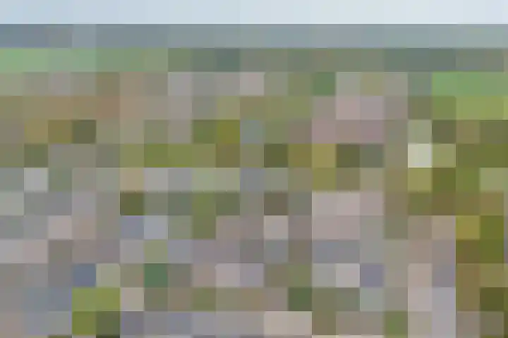 Jan van Goyenstraat 3 Krimpen aan de Lek thumbnail 35