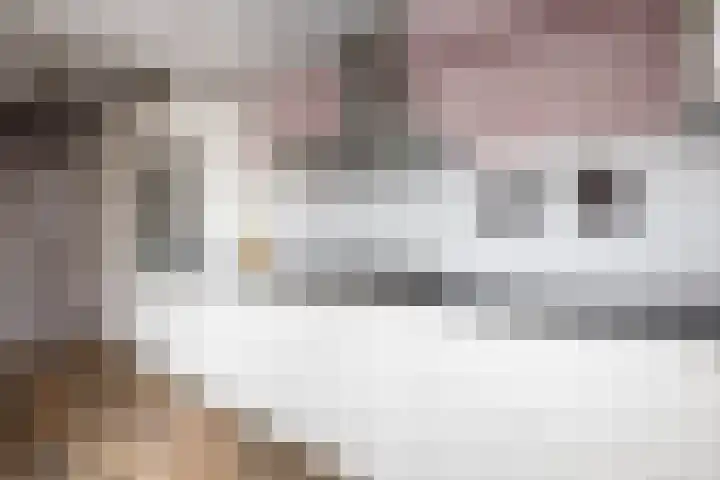 Jan van Goyenstraat 3 Krimpen aan de Lek thumbnail 4