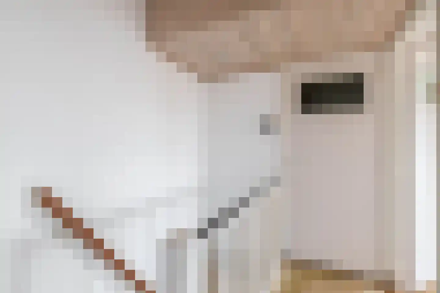Jan van Goyenstraat 3 Krimpen aan den IJssel thumbnail 17