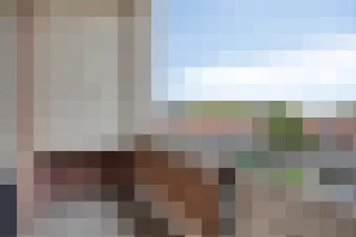 Jan van Goyenstraat 34 Almelo thumbnail 10