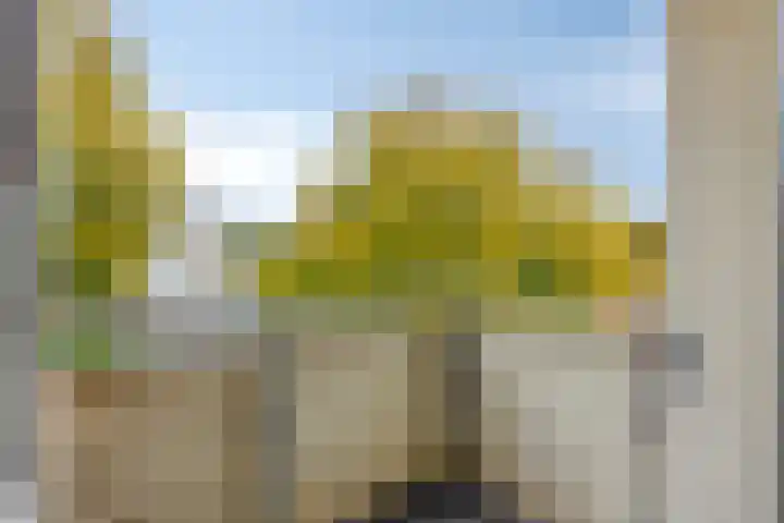 Jan van Goyenstraat 34 Almelo thumbnail 19