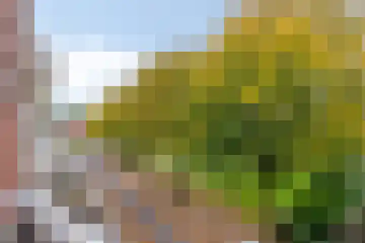 Jan van Goyenstraat 34 Almelo thumbnail 20