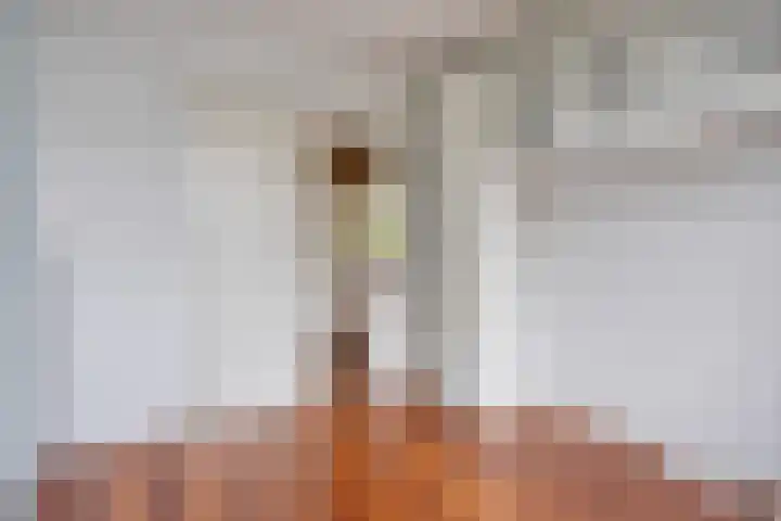 Jan van Goyenstraat 34 Almelo thumbnail 22