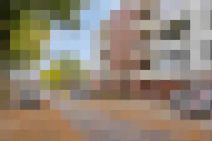 Jan van Goyenstraat 34 Almelo thumbnail 27