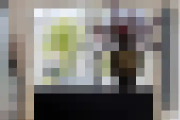 Jan van Goyenstraat 35 Heerhugowaard thumbnail 15