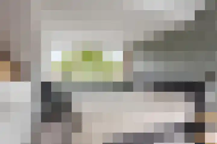 Jan van Goyenstraat 35 Heerhugowaard thumbnail 26
