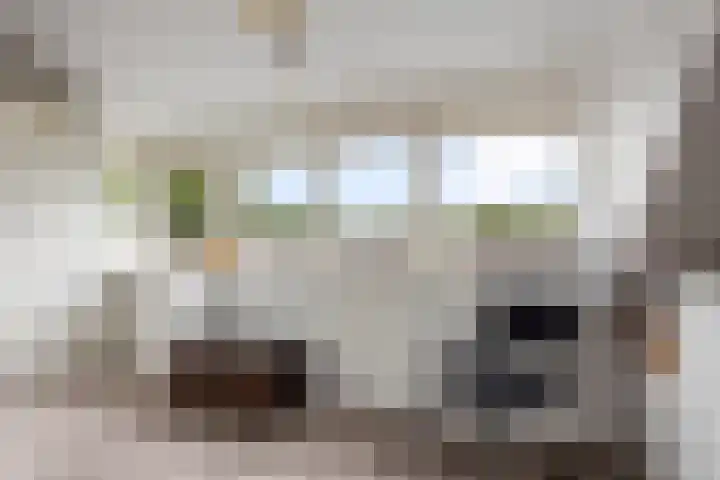 Jan van Goyenstraat 35 Heerhugowaard thumbnail 27