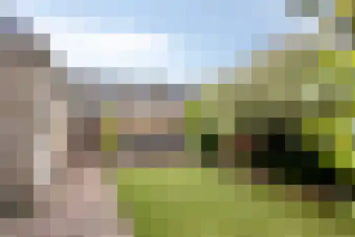 Jan van Goyenstraat 35 Heerhugowaard thumbnail 28