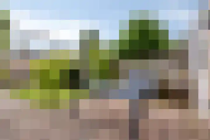 Jan van Goyenstraat 35 Heerhugowaard thumbnail 31