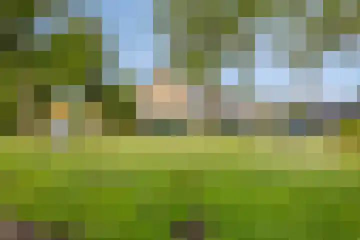 Jan van Goyenstraat 35 Heerhugowaard thumbnail 32