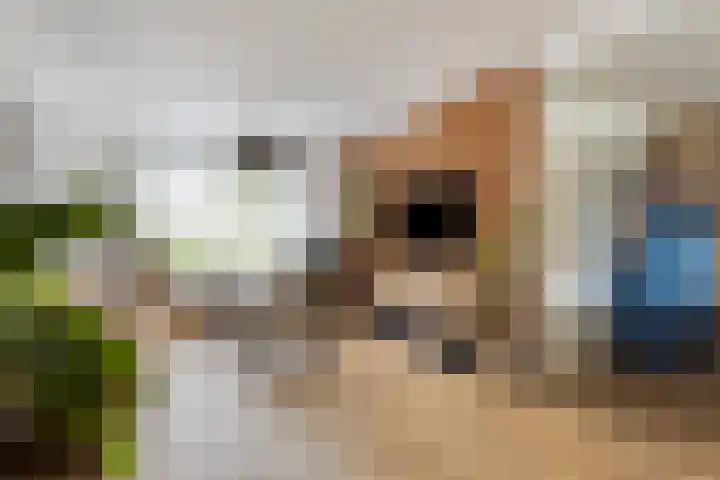 Jan van Goyenstraat 35 Heerhugowaard thumbnail 9