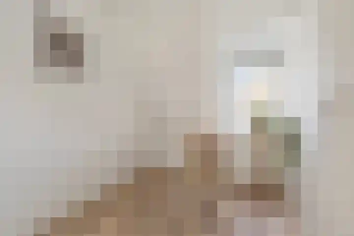 Jan van Goyenstraat 4 a Groningen thumbnail 23