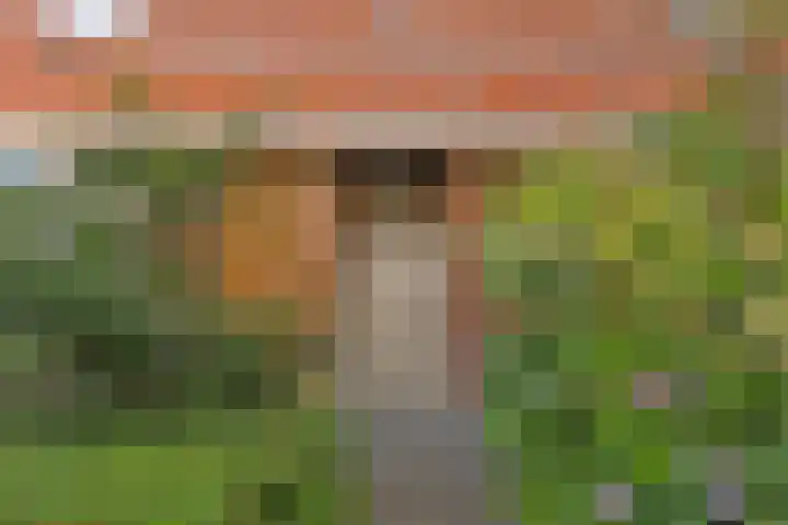 Jan van Goyenstraat 4 a Groningen thumbnail 30