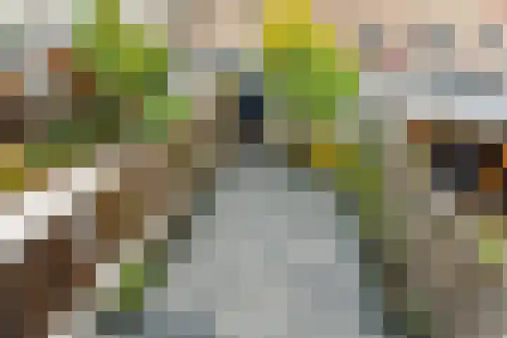 Jan van Goyenstraat 40 Almere thumbnail 22