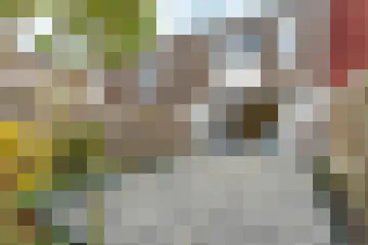 Jan van Goyenstraat 40 Almere thumbnail 26