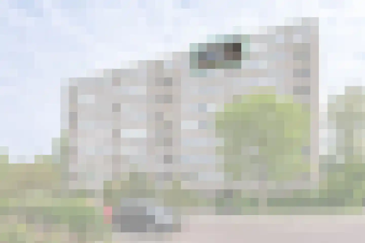 Jan van Goyenstraat 46 Alkmaar thumbnail 5