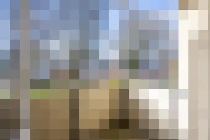 Jan van Goyenstraat 48 Almelo thumbnail 14
