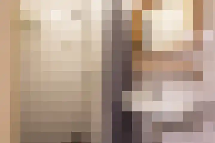 Jan van Goyenstraat 48 Almelo thumbnail 18