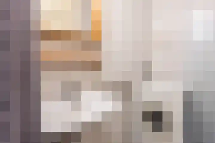 Jan van Goyenstraat 48 Almelo thumbnail 19