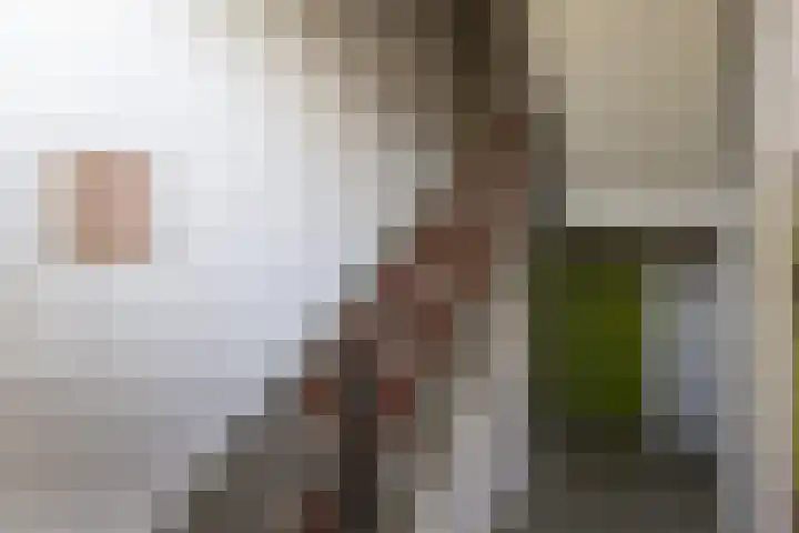 Jan van Goyenstraat 48 Almelo thumbnail 23