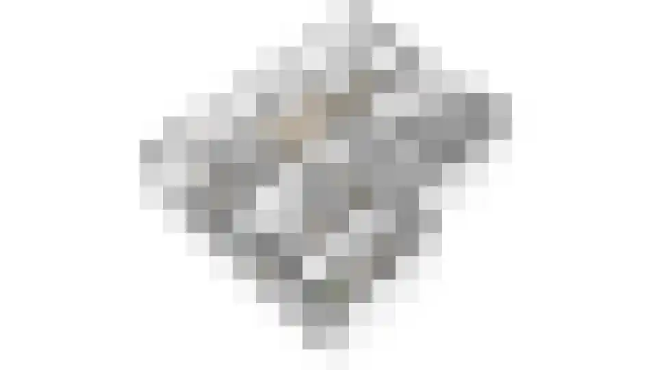 Jan van Goyenstraat 58 Almelo thumbnail 32