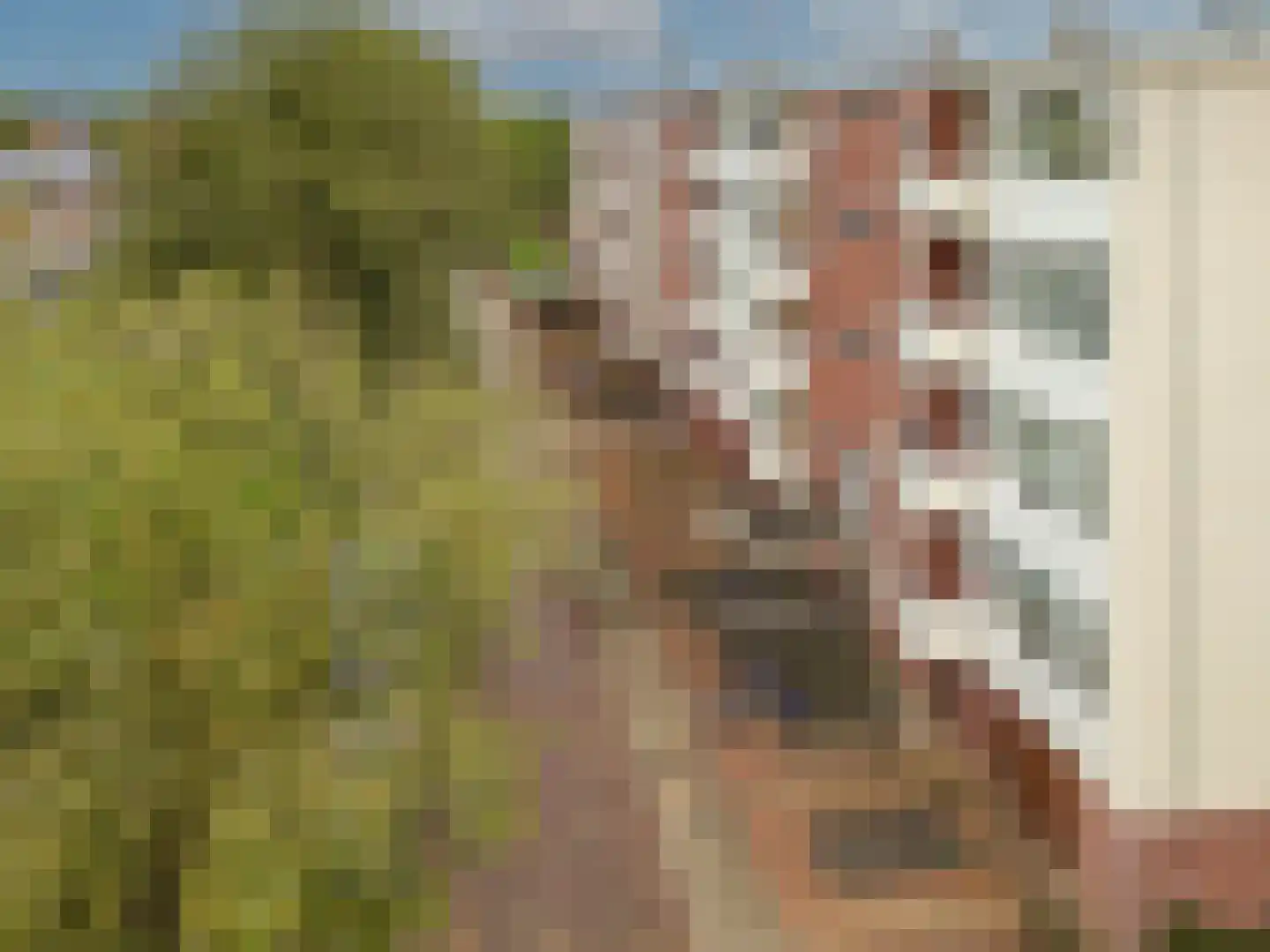 Jan van Goyenstraat 58 Almelo thumbnail 5