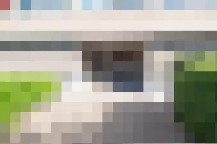 Jan van Goyenstraat 6 Alkmaar thumbnail 5