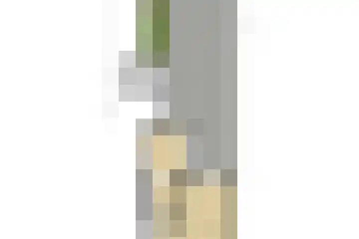 Jan van Goyenstraat 7 Ede thumbnail 42