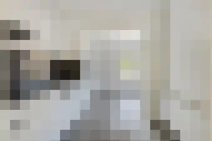 Jan van Goyenstraat 7 Ede thumbnail 5