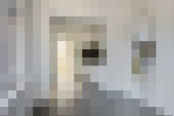 Jan van Goyenstraat 7 Ede thumbnail 8
