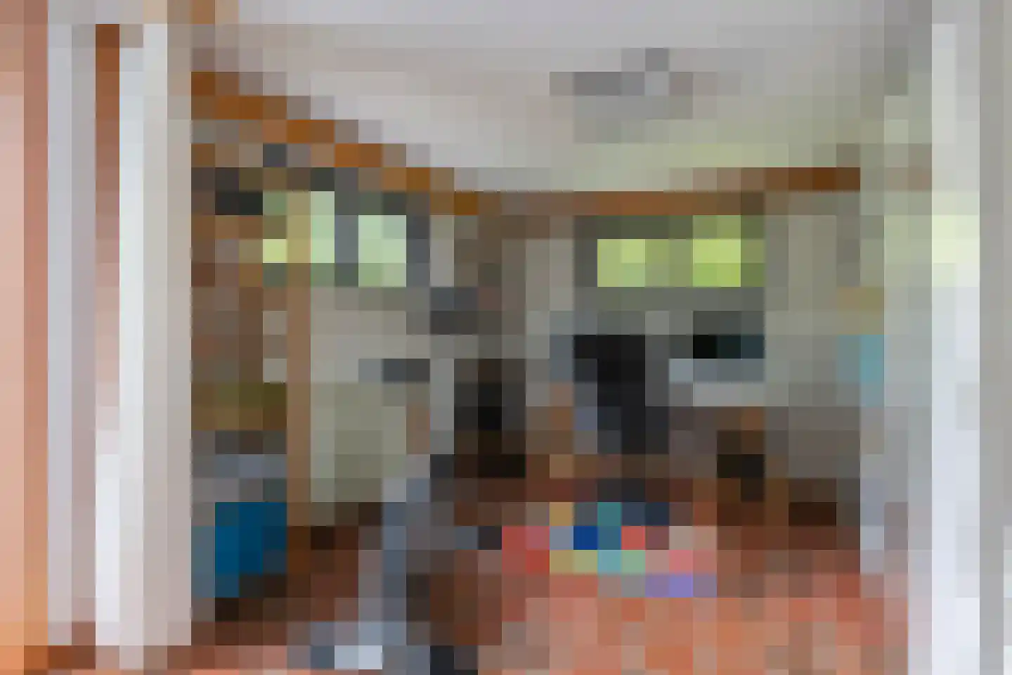 Jan van Goyenstraat 7 Kerkrade thumbnail 22