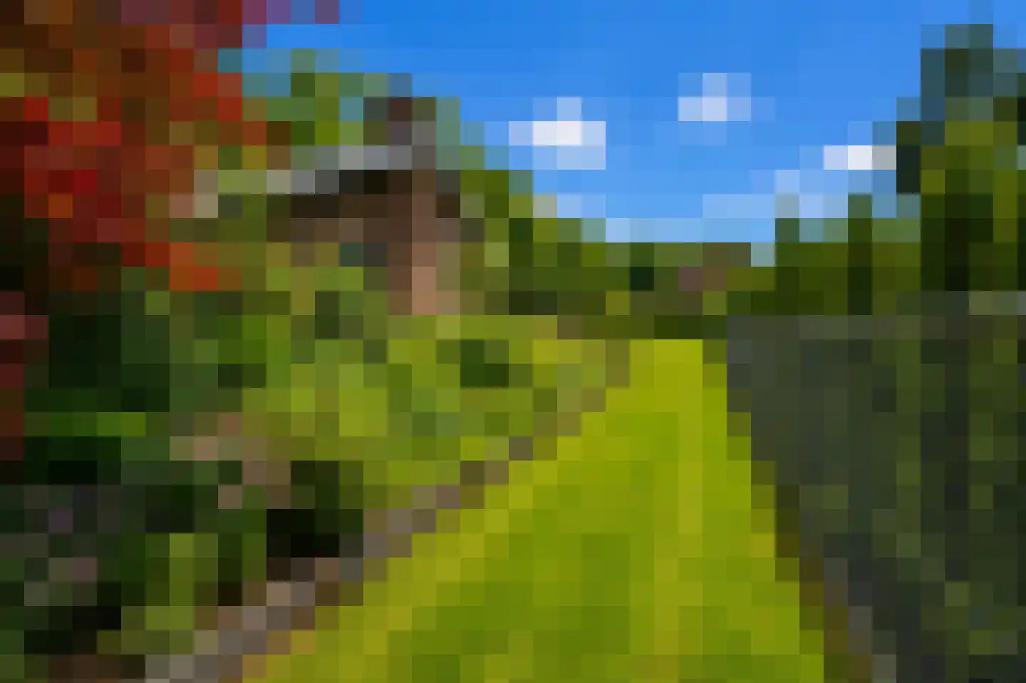 Jan van Goyenstraat 7 Kerkrade thumbnail 28