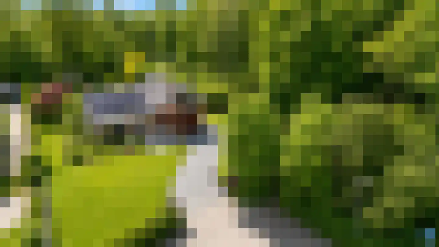 Jan van Goyenstraat 7 Kerkrade thumbnail 30