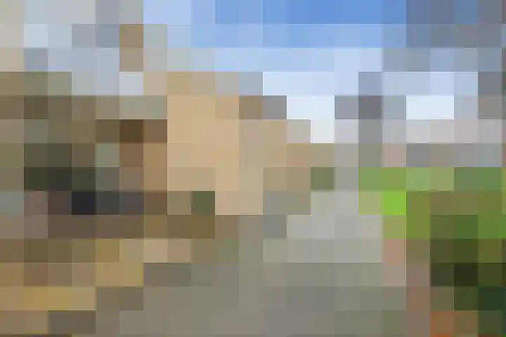 Jan van Goyenstraat 79 Alkmaar thumbnail 26