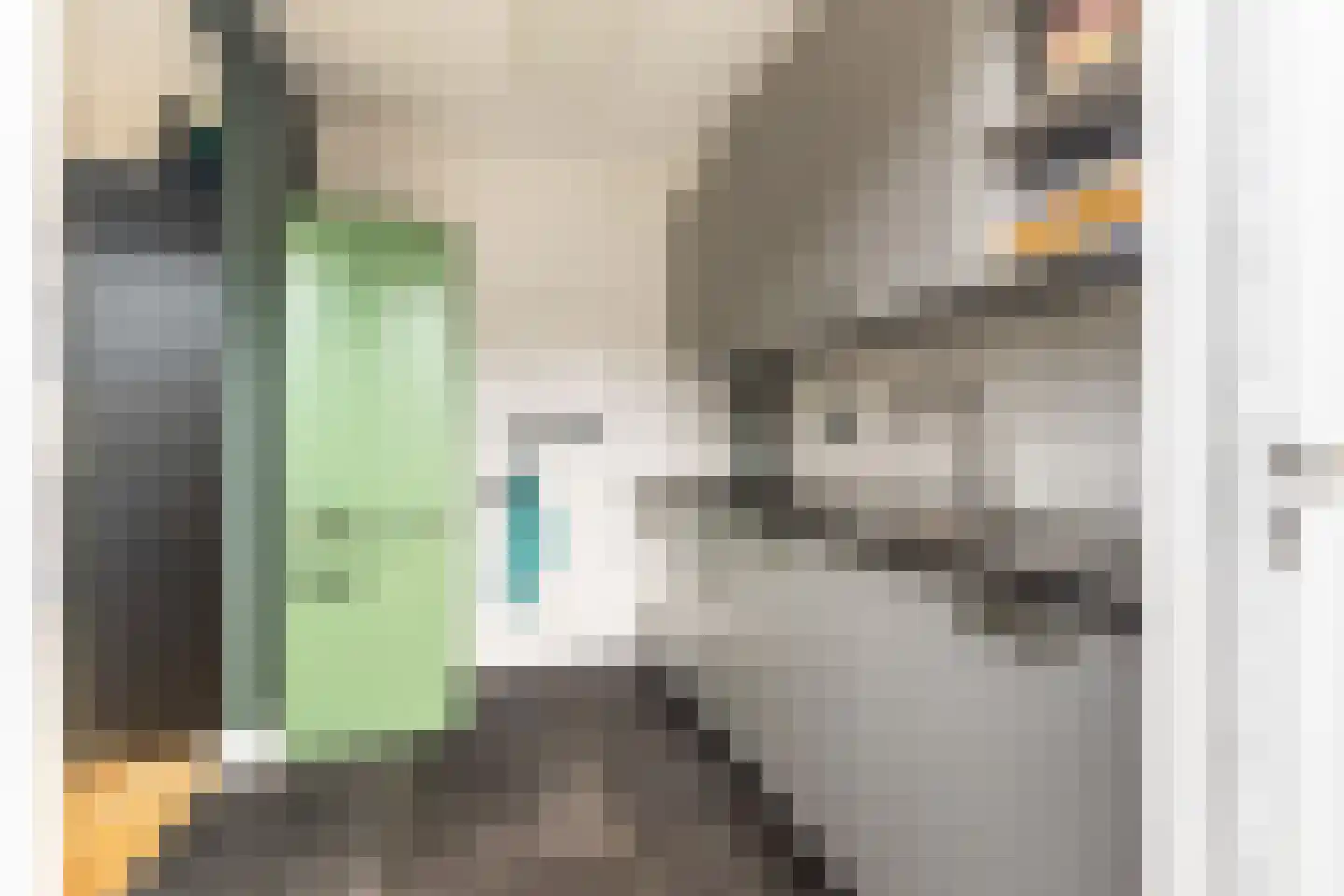 Jan van Goyenstraat 8 Krimpen aan de Lek thumbnail 11