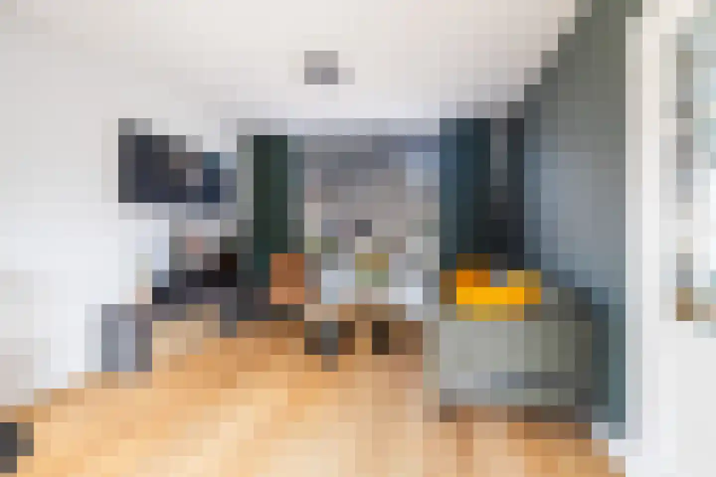 Jan van Goyenstraat 8 Krimpen aan de Lek thumbnail 5